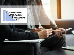 Contabilidad y Orientación Empresarial