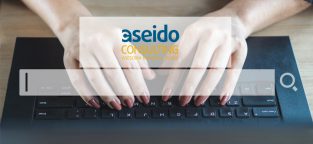 Aseido Consulting