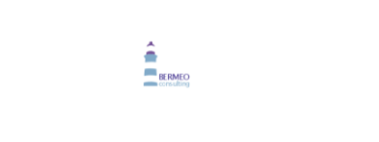 Bermeo Consulting