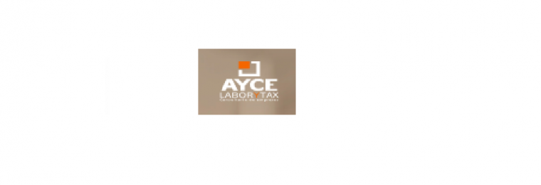 Ayce Auditores Y Consultores