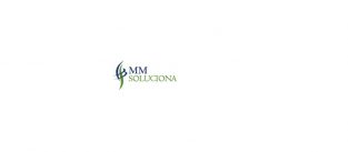 Asesoría Consultoría Mmsoluciona