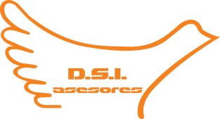 DSI Asesores